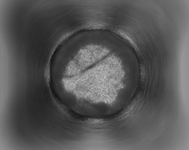 X0000094810582200712071227