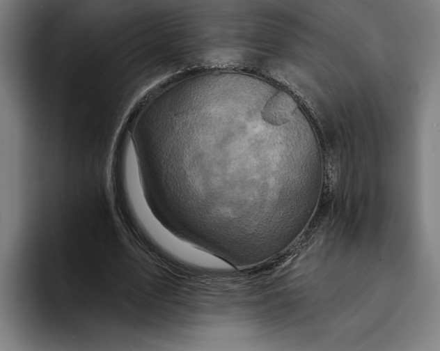 X0000094810583200712071227