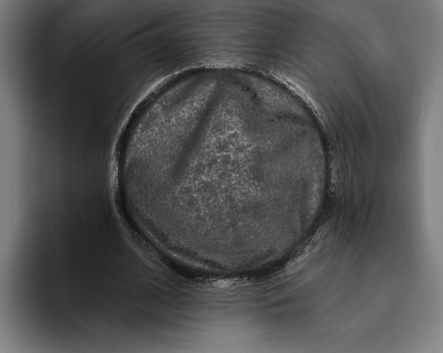 X0000094810584200712071227