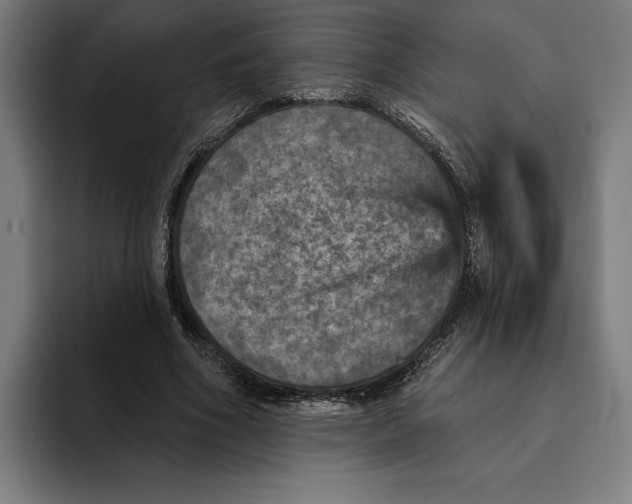 X0000094810586200712071227