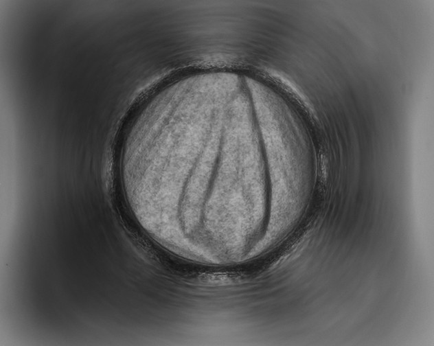 X0000094810588200712071227