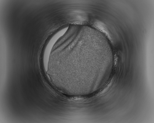 X0000094810589200712071227