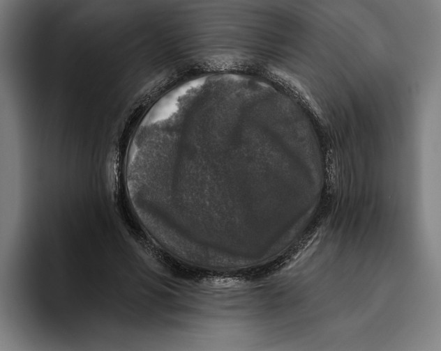 X0000094810590200712071227