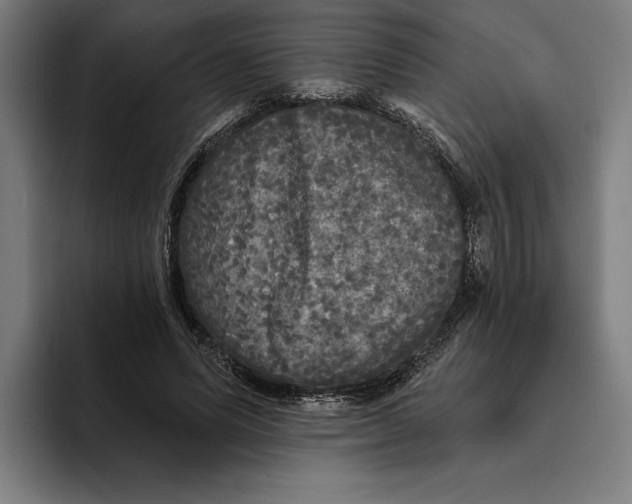 X0000094810591200712071227