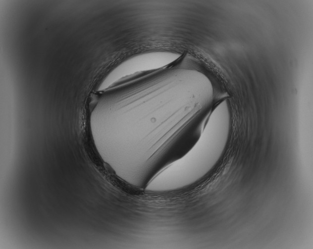 X0000094810593200712071227