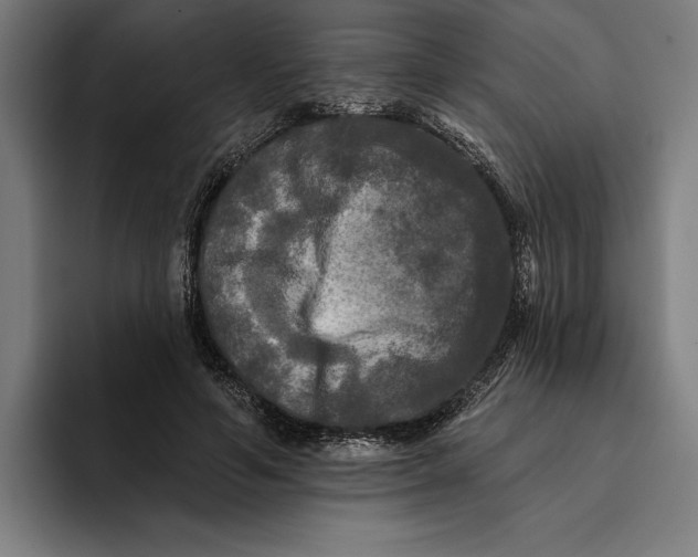 X0000094810594200712071227