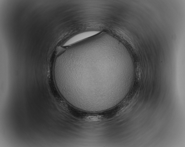 X0000094810595200712071227