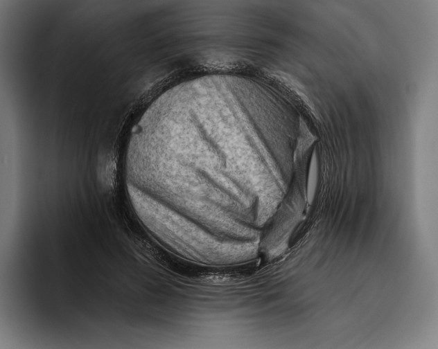 X0000094810596200712071227