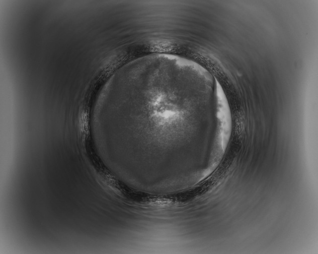 X0000094810598200712071227