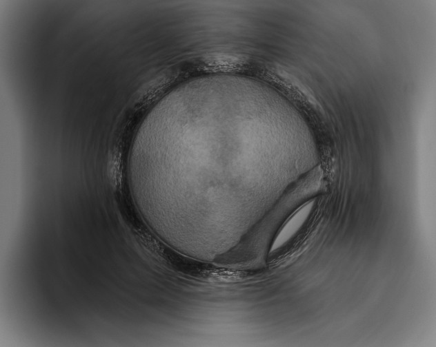 X0000094810599200712071227