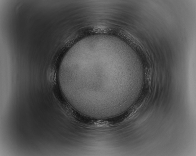 X0000094810603200712071227