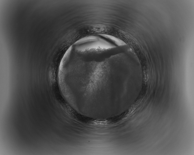 X0000094810606200712071227