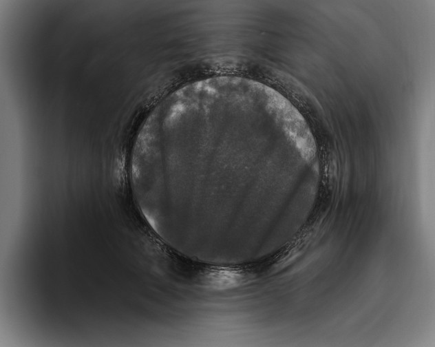 X0000094810610200712071227