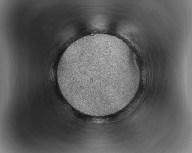 X0000094810613200712071227