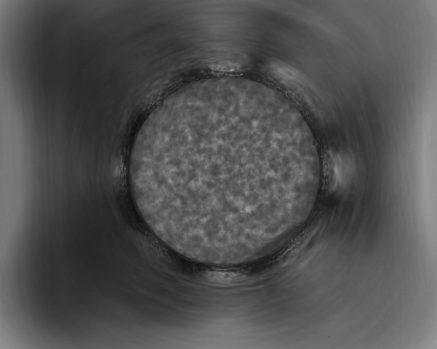 X0000094810614200712071227