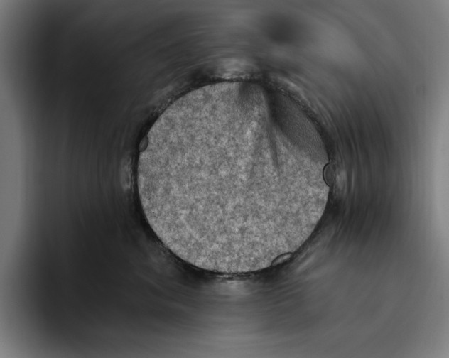 X0000094810620200712071227