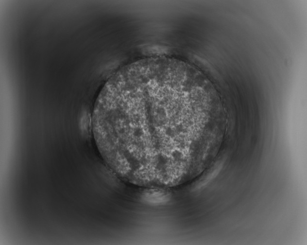 X0000094810624200712071227