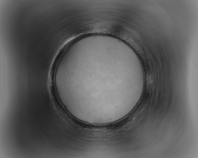 X0000094810628200712071226