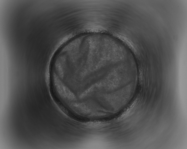 X0000094810630200712071226