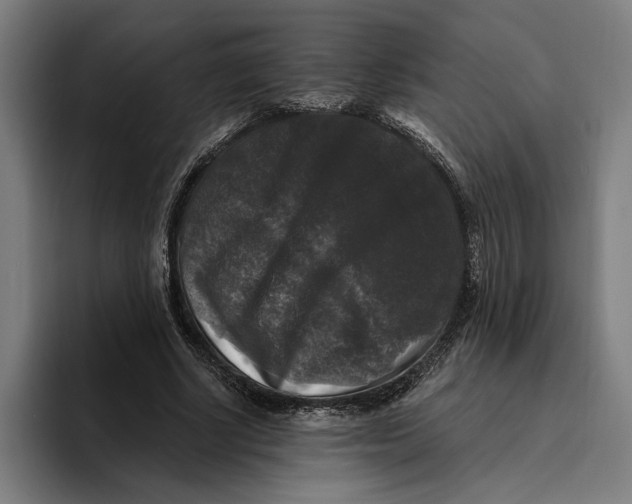 X0000094810634200712071226