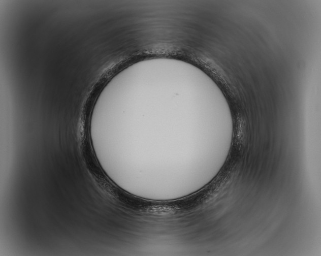 X0000094810636200712071226