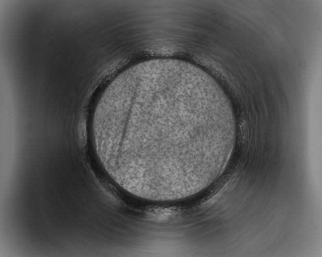 X0000094810638200712071226