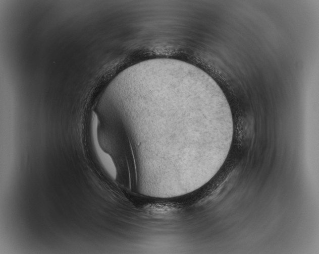 X0000094810639200712071226