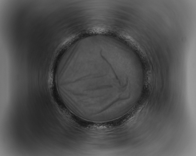 X0000094810640200712071226