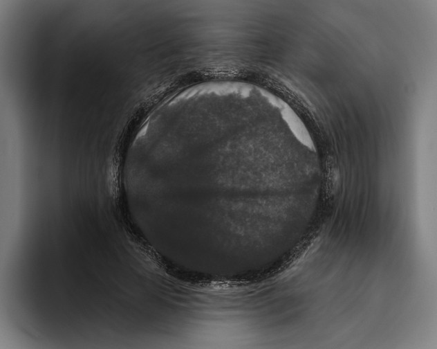 X0000094810641200712071226