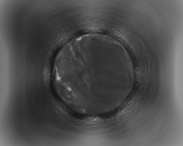 X0000094810642200712071226