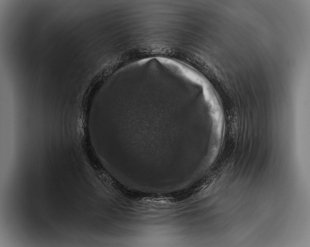 X0000094810643200712071226