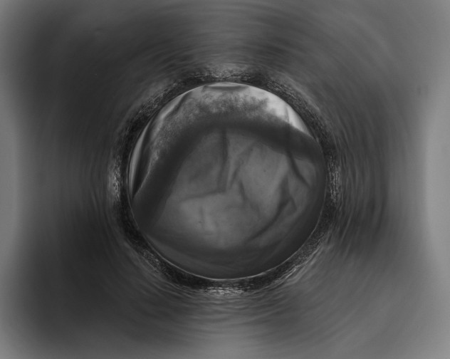 X0000094810644200712071226