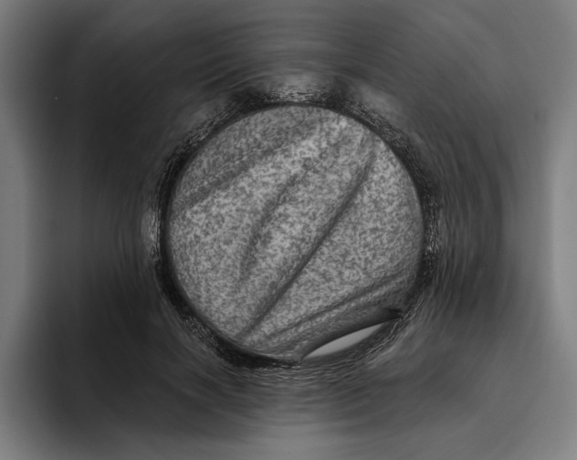 X0000094810646200712071226