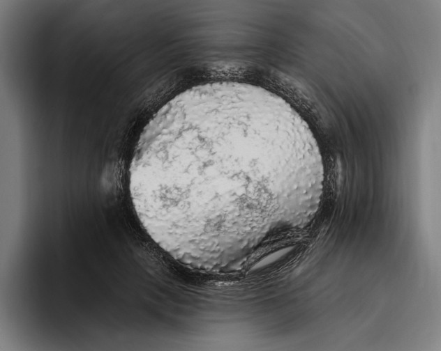 X0000094810649200712071226