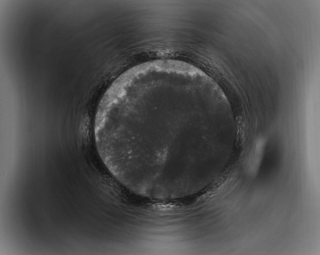 X0000094810650200712071226