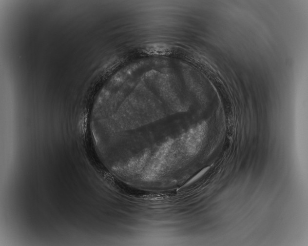 X0000094810652200712071226