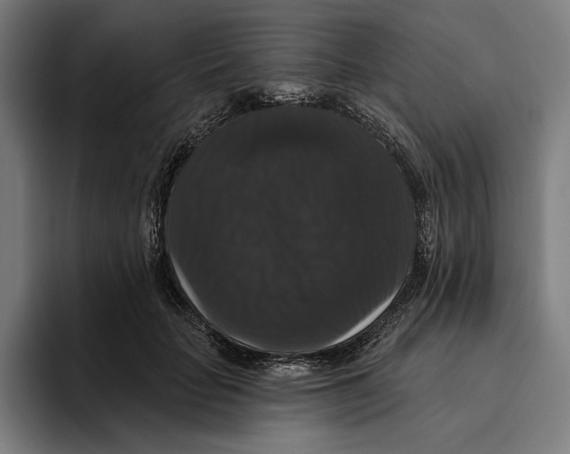 X0000094810653200712071226