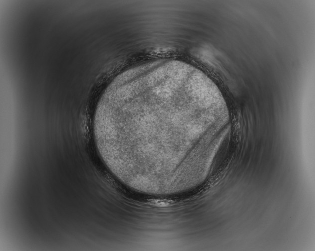 X0000094810654200712071226