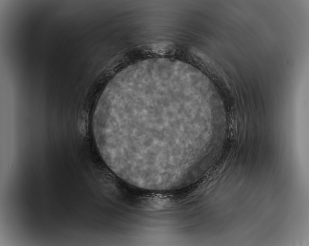 X0000094810656200712071226