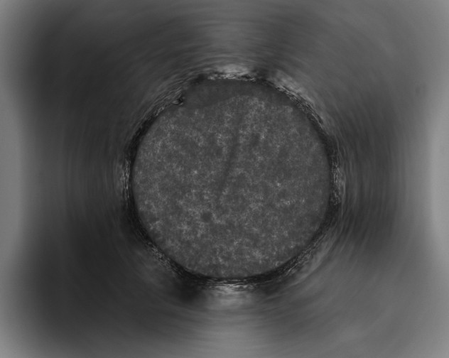 X0000094810657200712071226