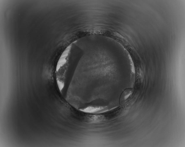 X0000094810663200712071226