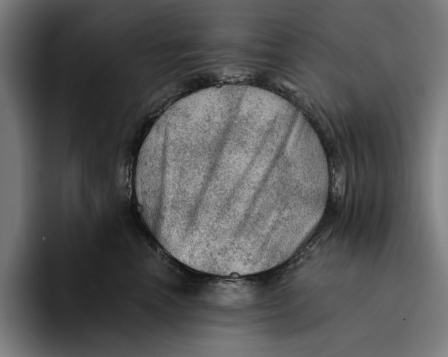 X0000094810666200712071226