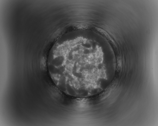 X0000094810667200712071226