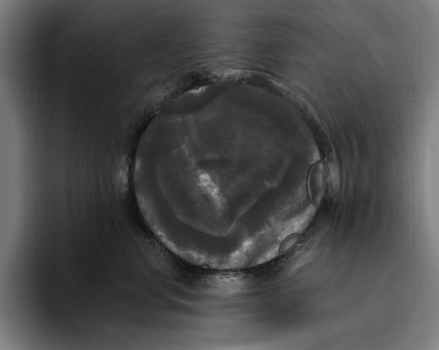 X0000094810668200712071226