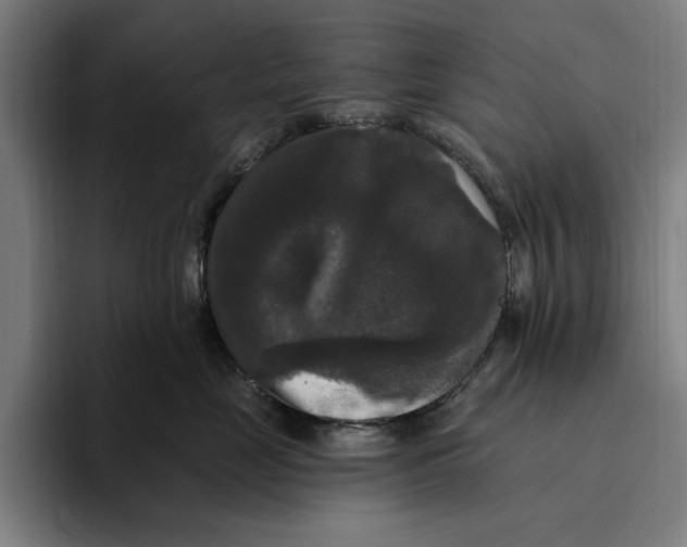 X0000094810669200712071226