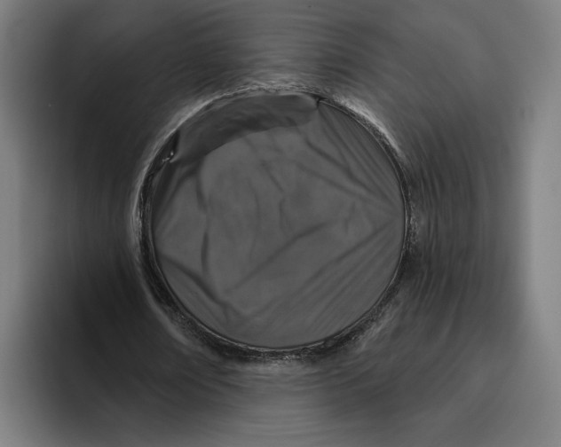 X0000094810674200712071226