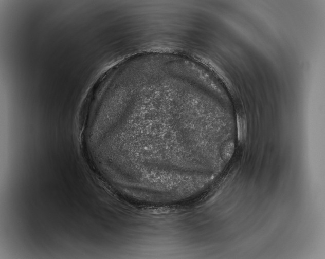 X0000094810675200712071226