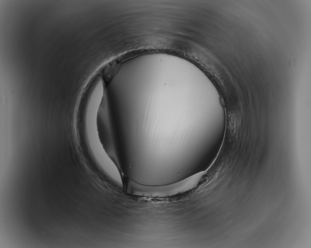 X0000094810676200712071226