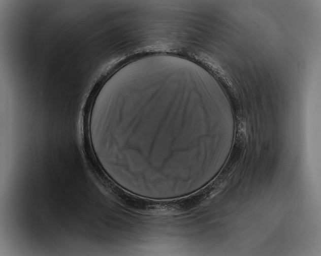 X0000094810678200712071226