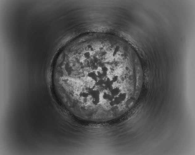 X0000094810679200712071226